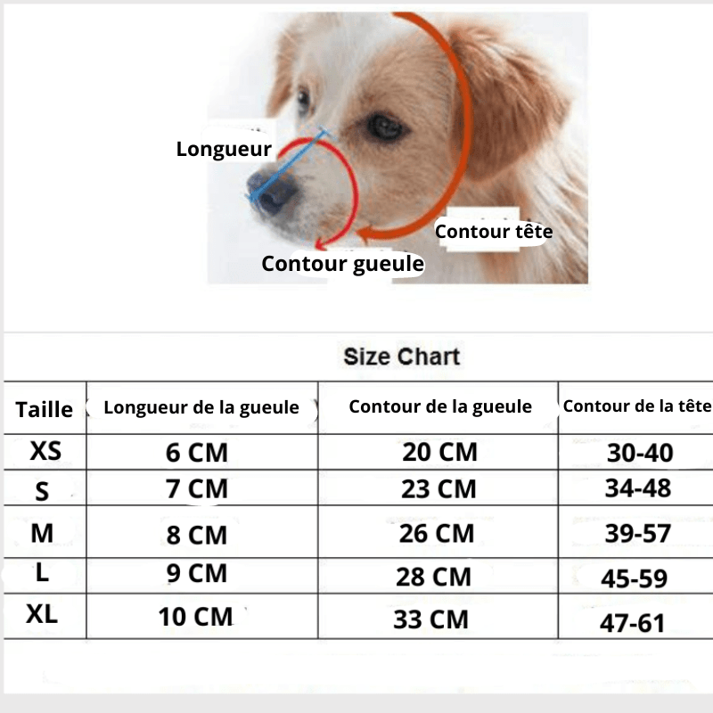 Muselière Pour Chien Respirante En Maille - Ajustable, Taille XS à XL, Prévient Morsures Et Ingestion