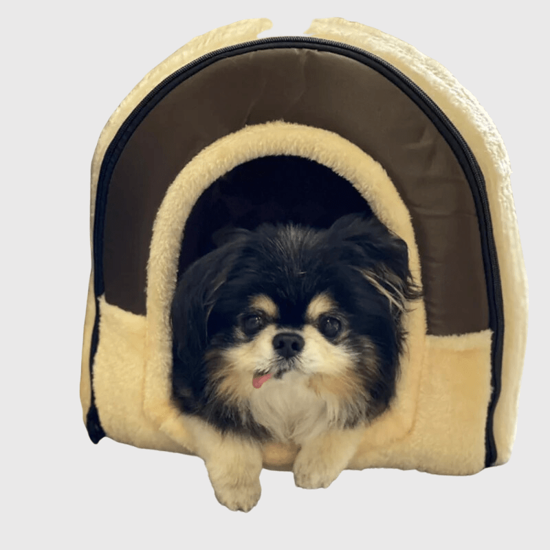 Niche d'intérieur pour chien couleur brique yorkshire
