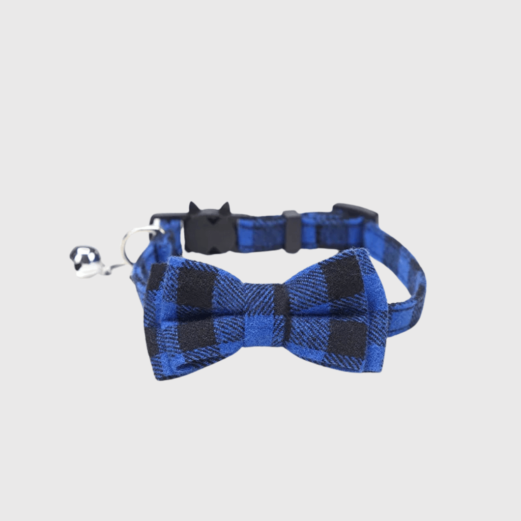 Noeud Papillon Chien bleu et noir