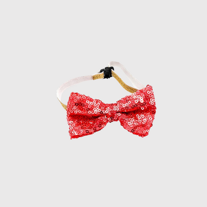 Noeud papillon pour chien joyeux anniversaire rouge
