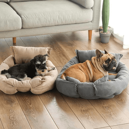 Panier pour chien destockage
