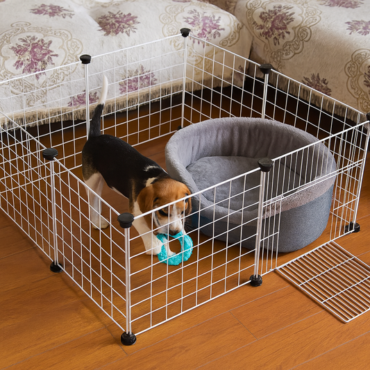 Parc extérieur en métal pliable pour petit chien