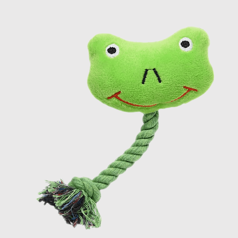 Peluche grenouille pour chien destructeur