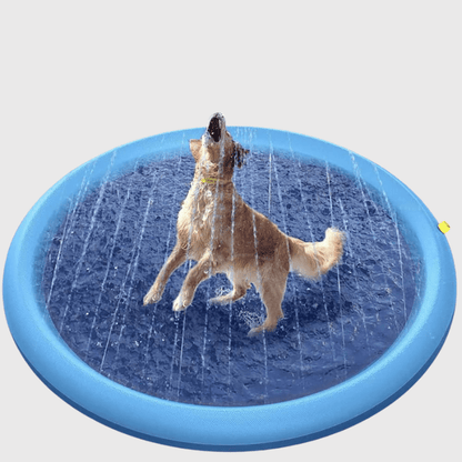 Piscine gonflable chien labrador