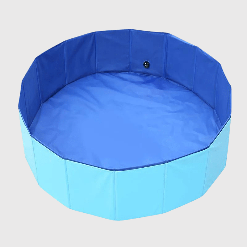 Piscine pour chien en plastique dur bleu