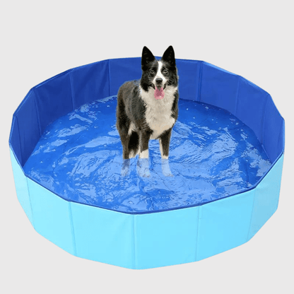 Piscine pour chien xxl​