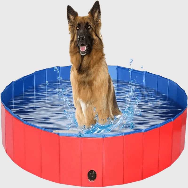 Piscine pour chien xxl​ rouge