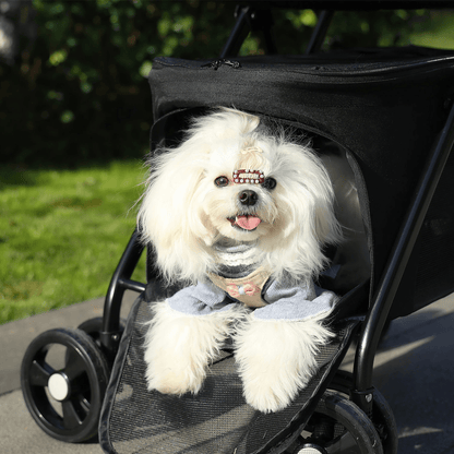 Poussette pour chien pliable chihuahua