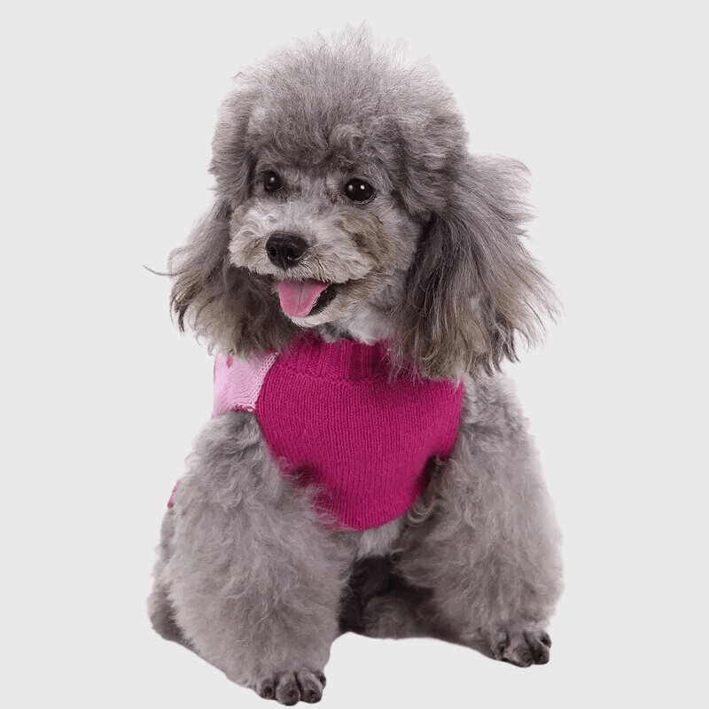 Pull pour chien Rose avec Cœur devant