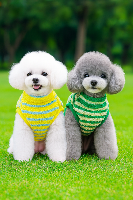 Pull pour grand chien dehors