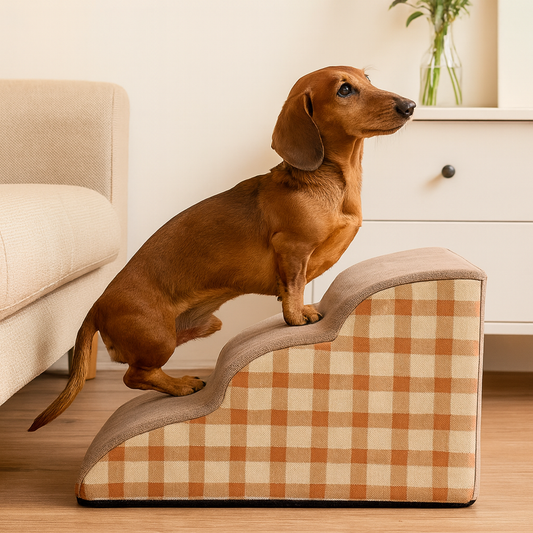 Rampe escalier pour chien