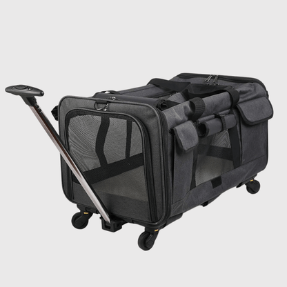 Remorque poussette pour chien noire