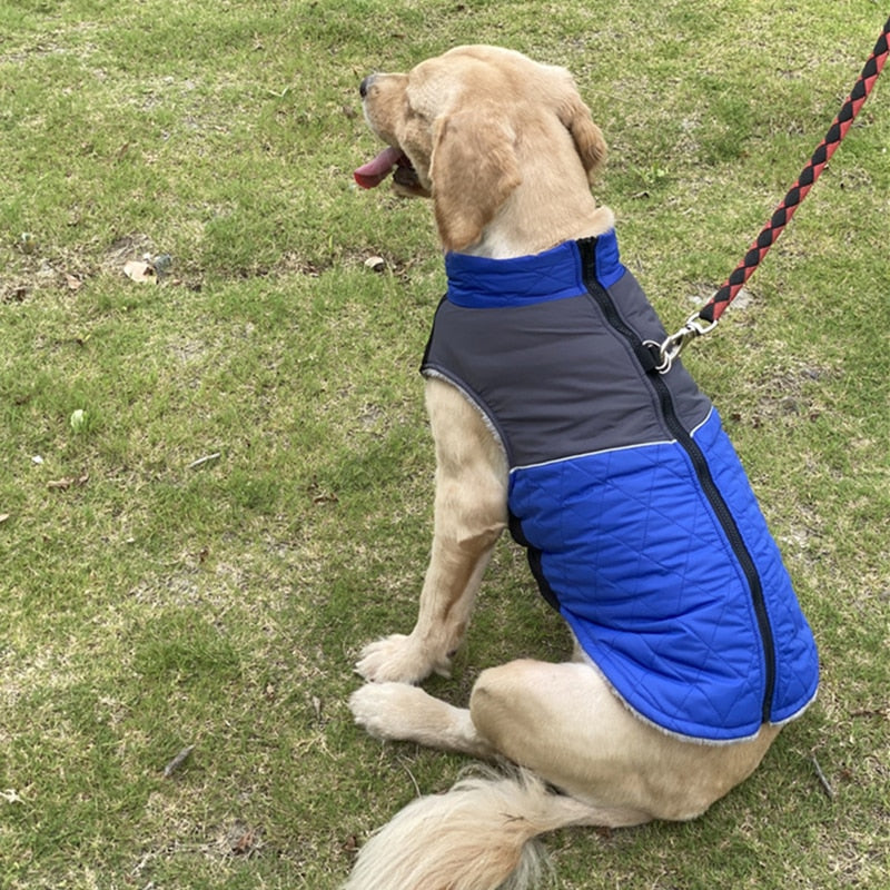 Couverture polaire manteau pour chien avec harnais modele chien bleu