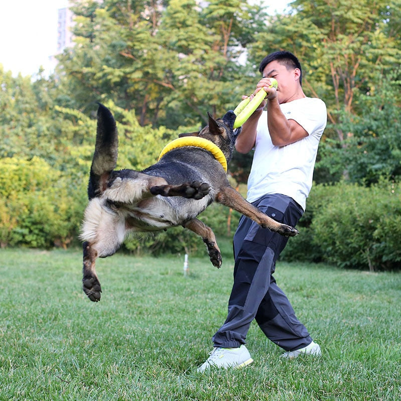 Frisbee pour chien indestructible avec un homme et chien entrain de tester le frisbee jaune