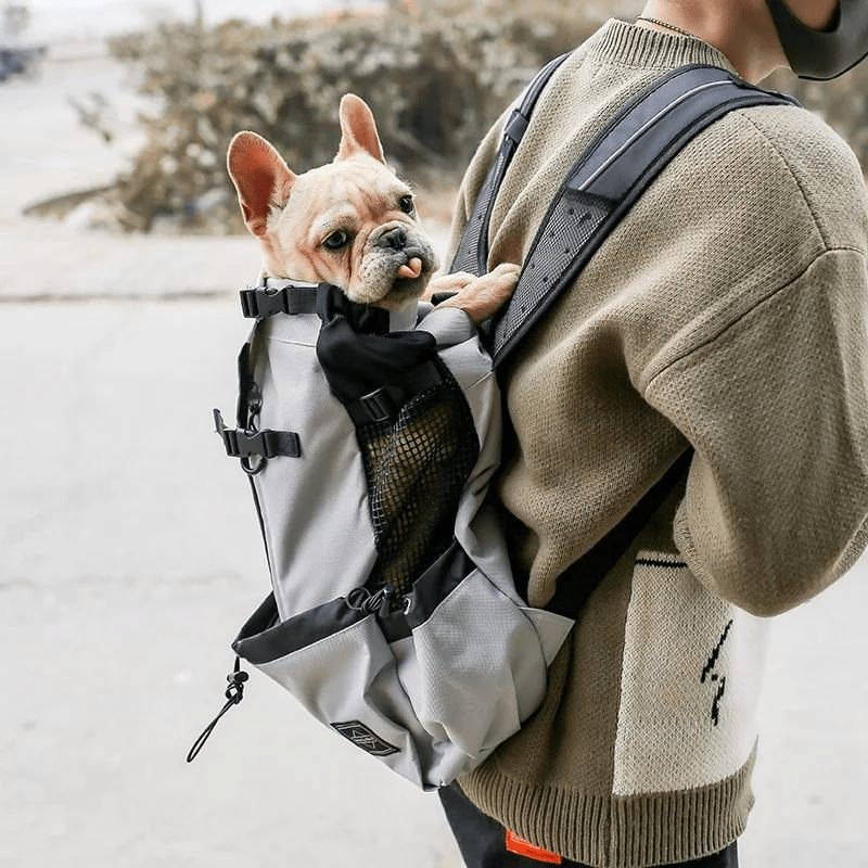 Sac à dos chien avec rangements bouledogue