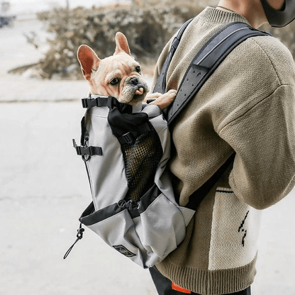 Sac à dos chien avec rangements bouledogue