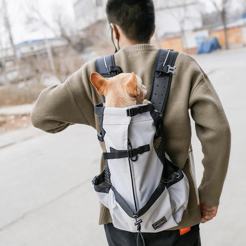 Sac à dos chien avec rangements rue