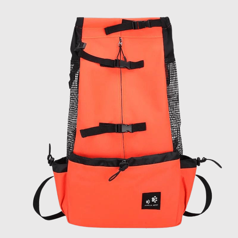 Sac à dos chien moto1