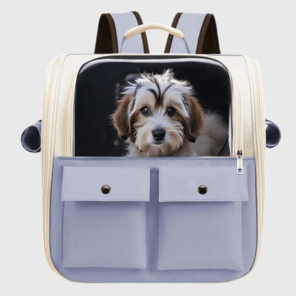 Sac à dos pour chien coloré caniche