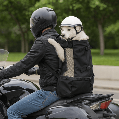 Sac à dos chien moto