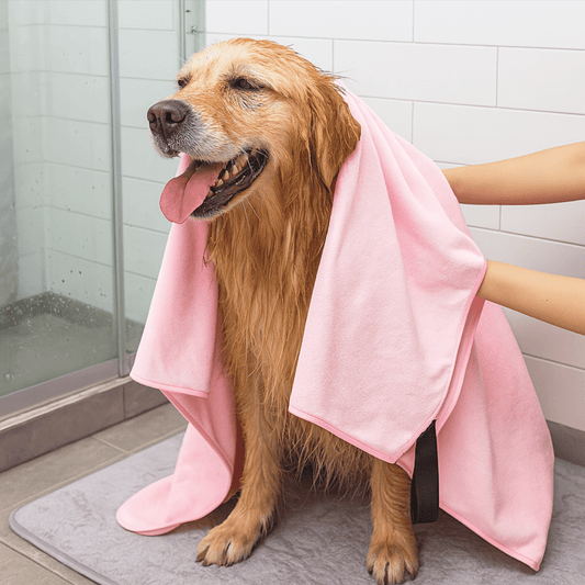 Serviette microfibre pour chien