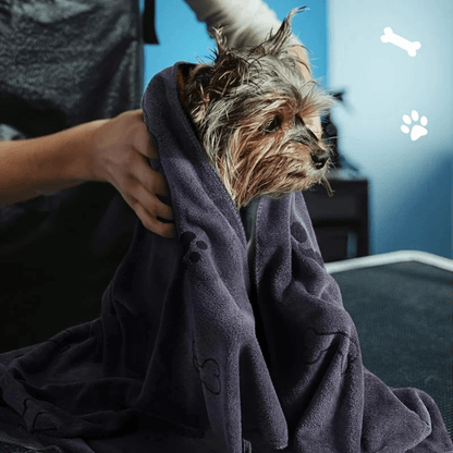 Serviette pour patte chien yorkshire