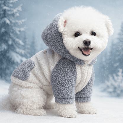 Sweat Chien porter bleu