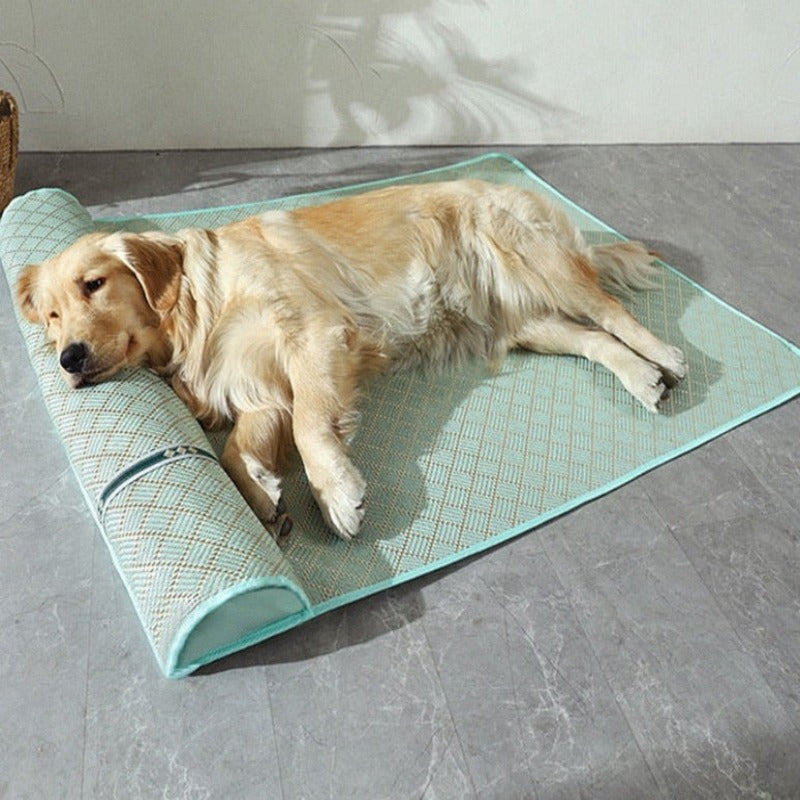 Tapis anti stress pour chien vert