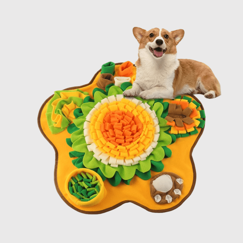 Tapis de fouille chien taille xl corgi