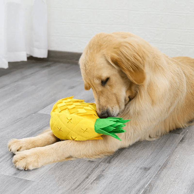 Tapis de fouille en forme d'Ananas chiot