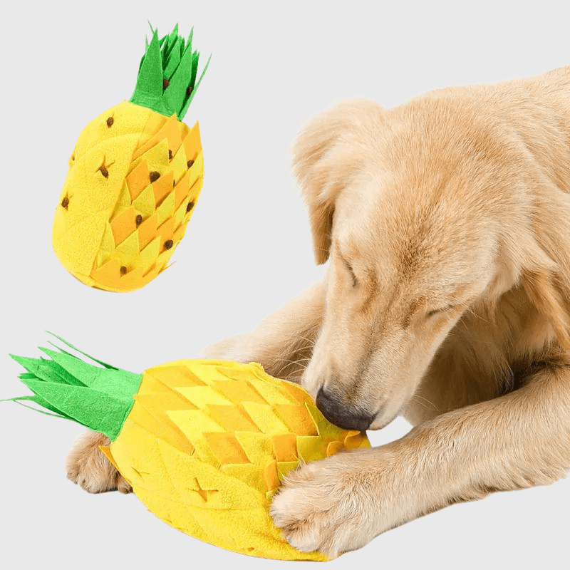 Tapis de fouille en forme d'Ananas labrador