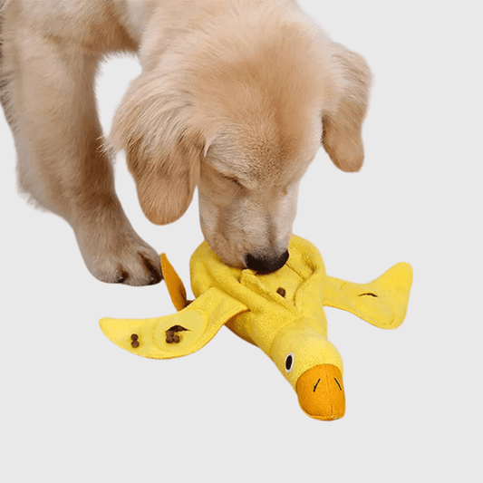 Tapis de fouille en forme de canard labrador