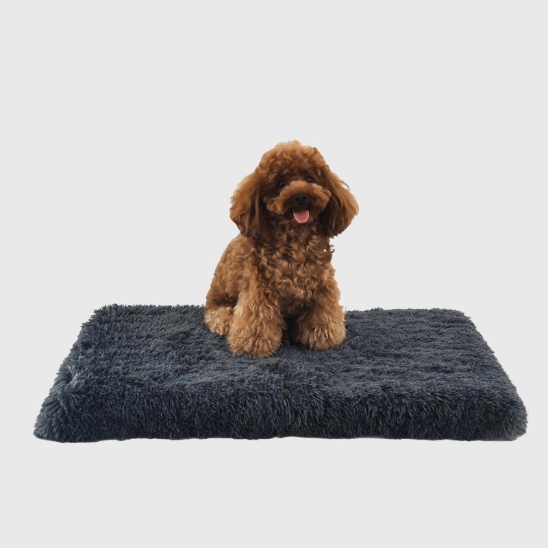 Tapis pour chien déhoussable