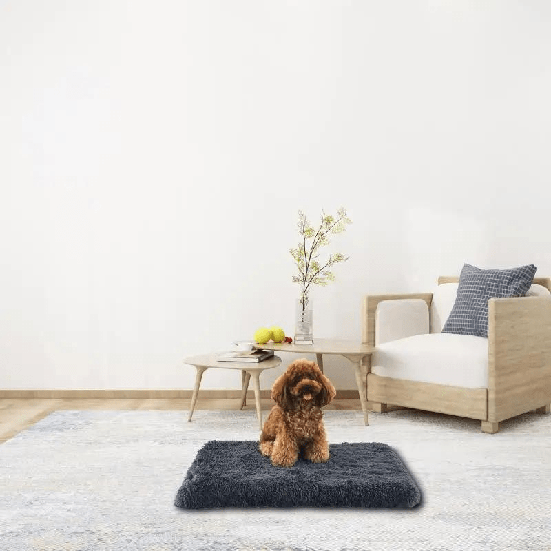 Tapis pour chien déhoussable modele maison