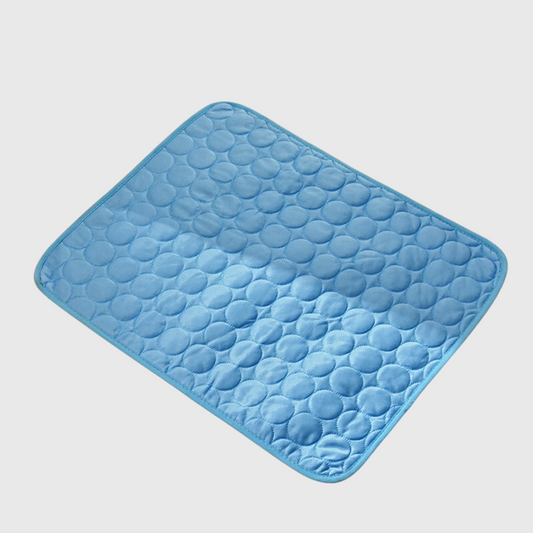 Tapis pour chien lavable bleu