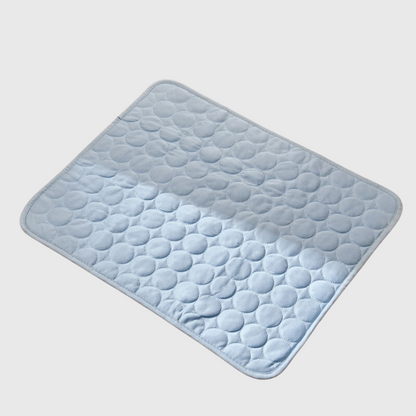 Tapis pour chien lavable bleu clair