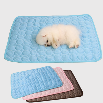 Tapis pour chien lavable chiot