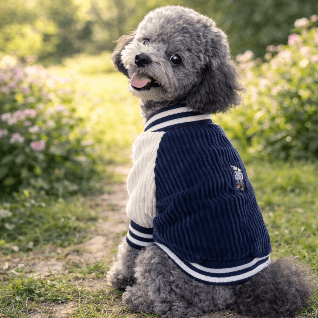 Veste Pour Chien bleu