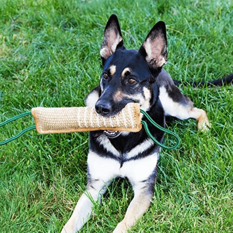 Boudin de mordant pour chien – Accessoire d’entraînement et de stimulation canine
