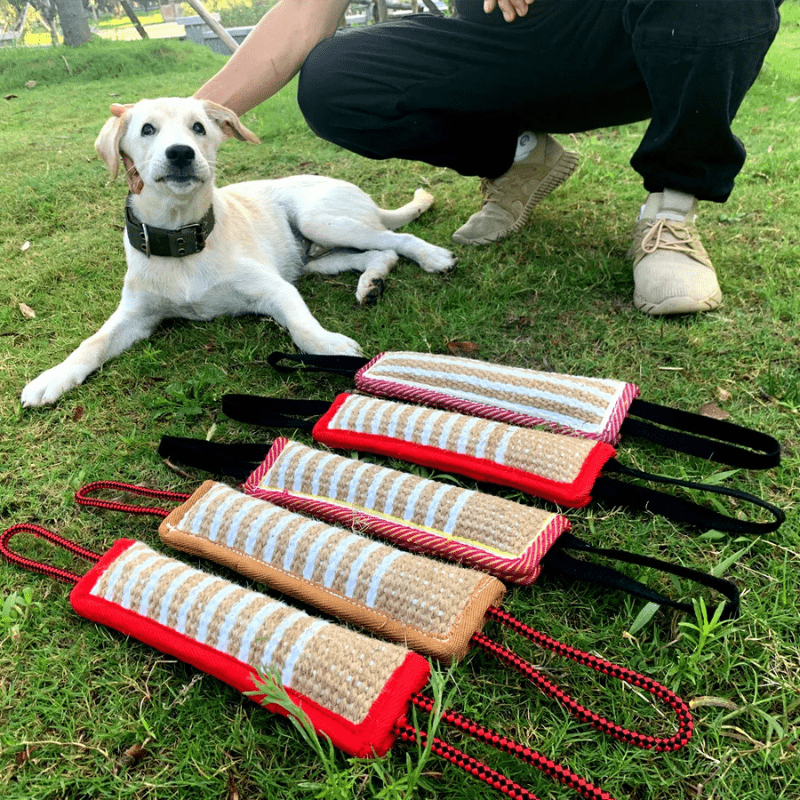 Pourquoi choisir ce boudin de mordant pour chien ?