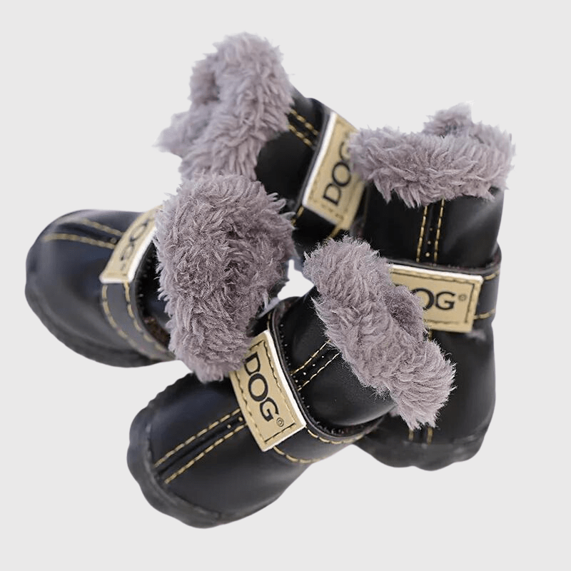 chaussette pour chien neige