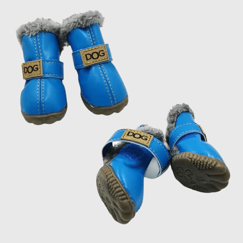chaussette pour chien neige bleu