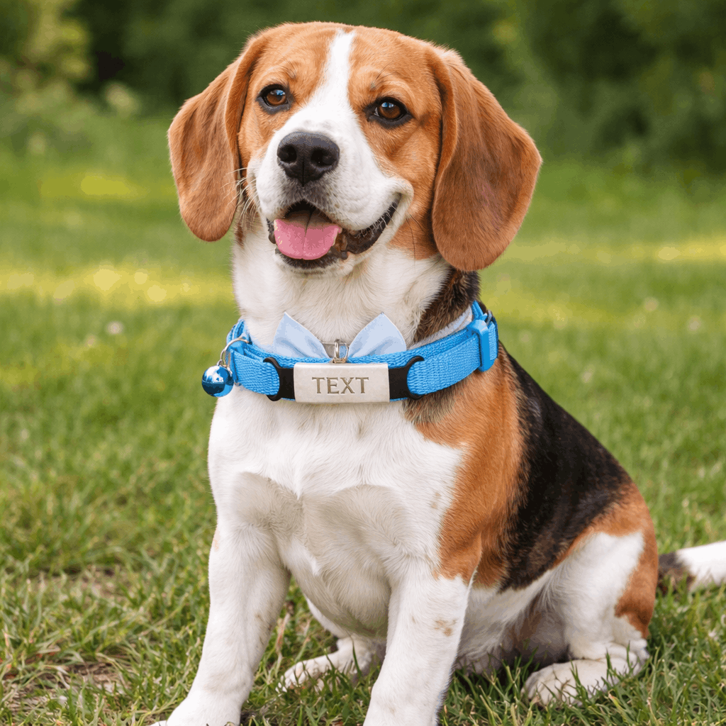 Collier personnalisé pour chien avec Nœud Papillon