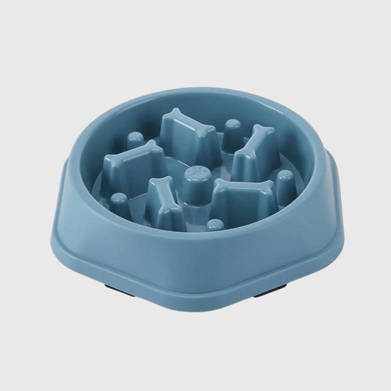 gamelle pour chien glouton bleu pale