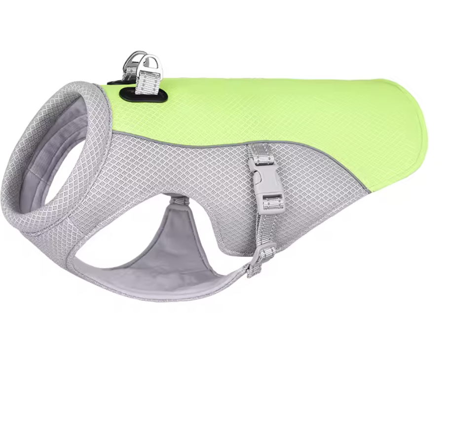 Gilet rafraîchissant pour chien vert anis - Paradis Chien