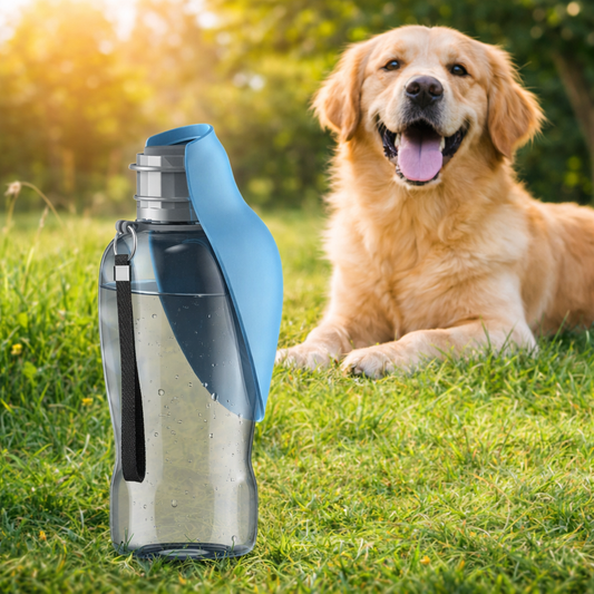 Gourde d'eau pour chien