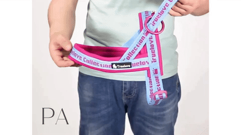 Pourquoi choisir ce harnais pour chien ?