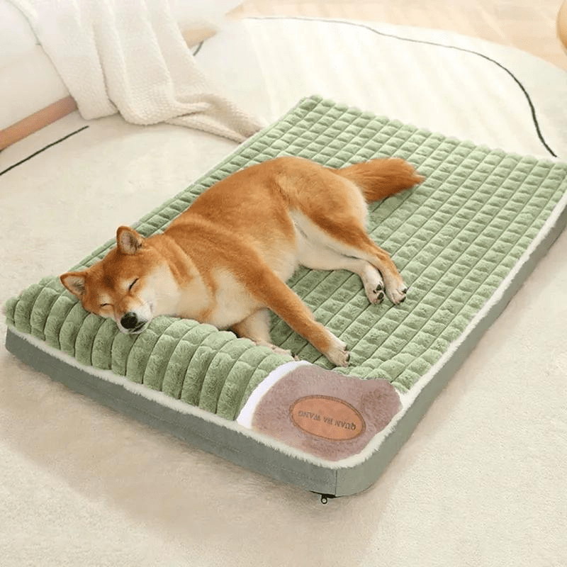 Lit apaisant pour chien shiba inu