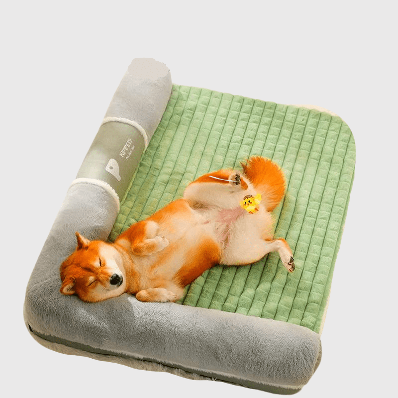 lit orthopédique pour chien shiba inu