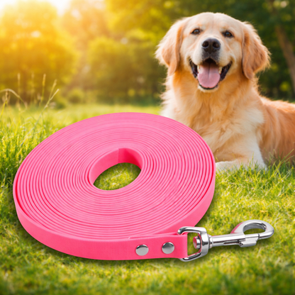 longe fine pour chien - Paradis Chien